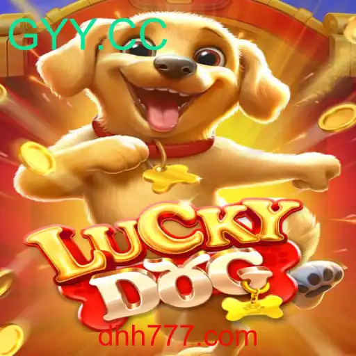 Descubra o Mundo de LuckyDog: Um Guia Completo para Iniciantes
